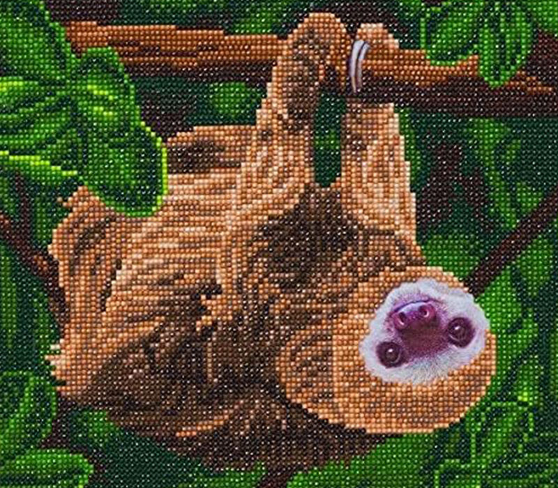 Crystal Art Diamond Painting Mounted Kit - Medium - Two Toed Sloth