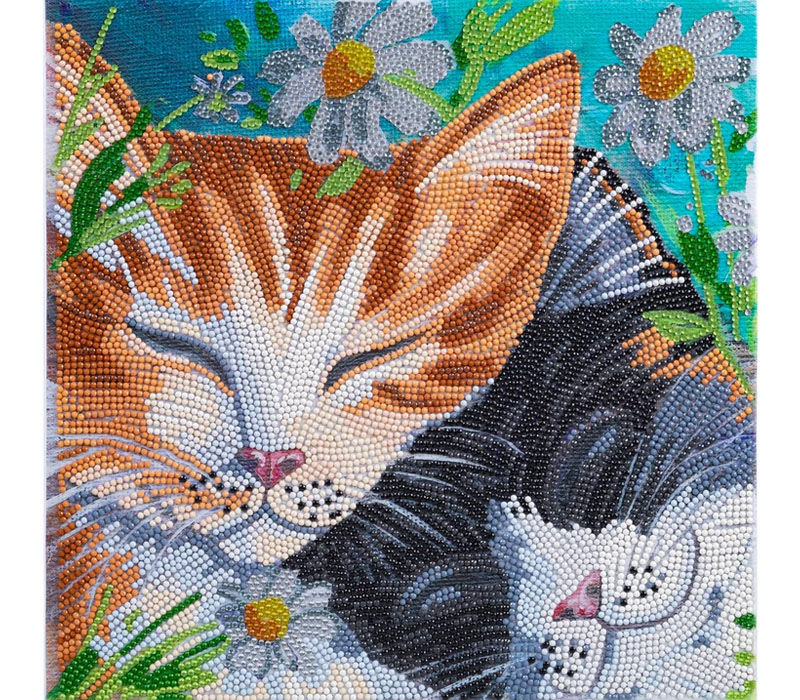 Crystal Art Diamond Painting Mounted Kit - Medium - Sleepy Cats