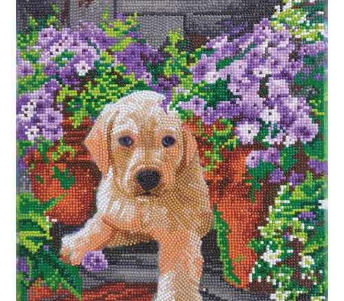 Crystal Art Diamond Painting Mounted Kit - Medium - Floral Pup