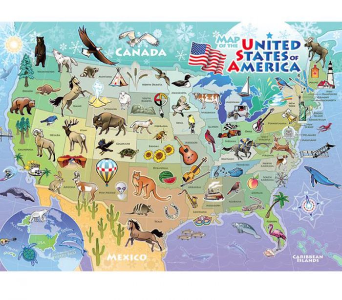 Cobble Hill Puzzle Tray USA Map - 35 Piece