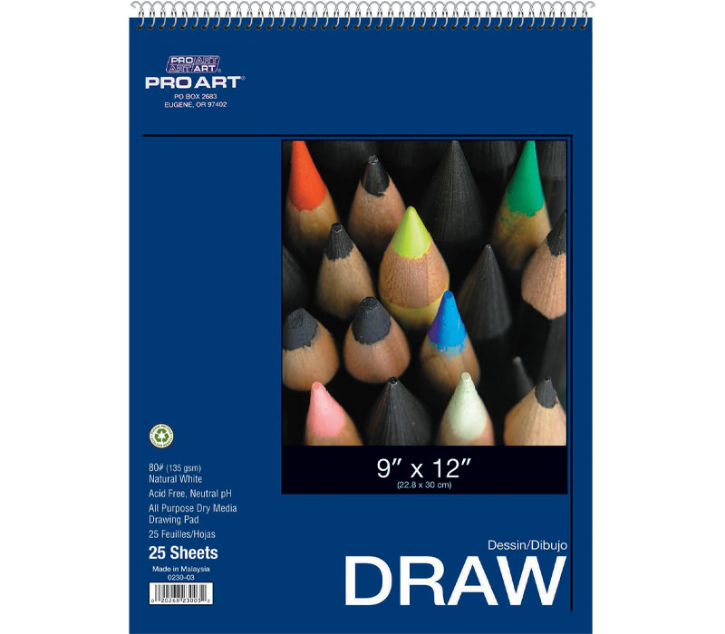 Pro Art Premium Drawing Paper Pad 8x10 30 sheets, 80#, Wire