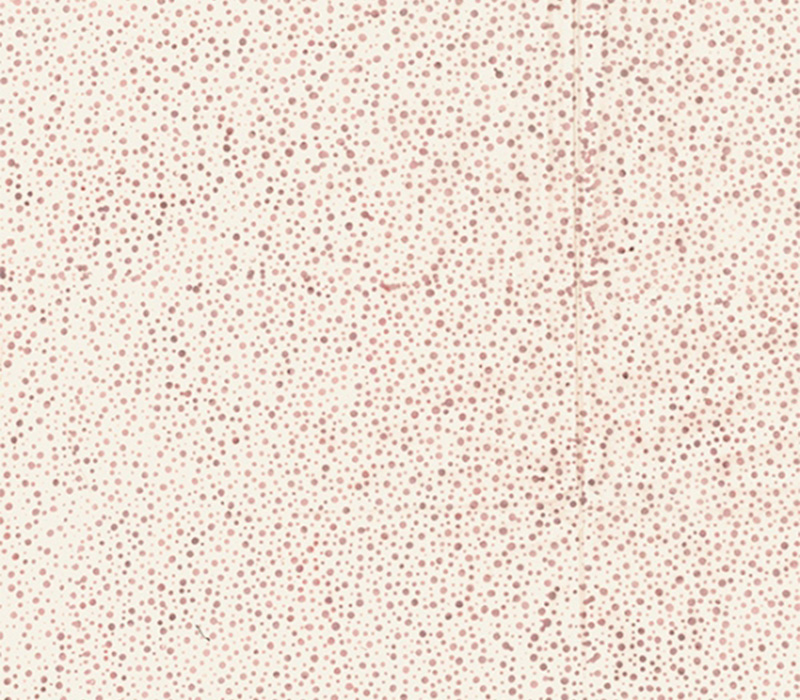 Fabric - Sandcastle 885 Batik Basic Dot