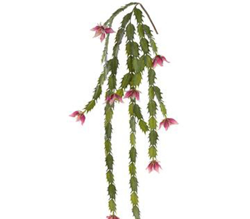 Blooming Cactus Hanging Spray - 38-inch