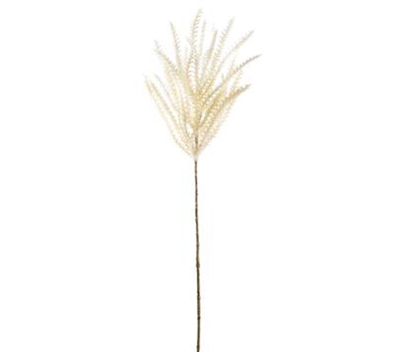 Spray - Reed Grass - 36-inch