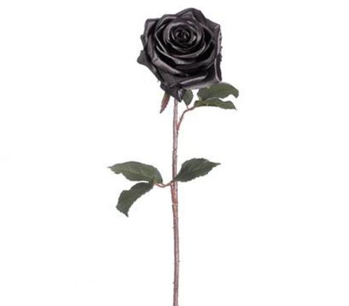 Spray - Black Magic Rose - 21.5-inch