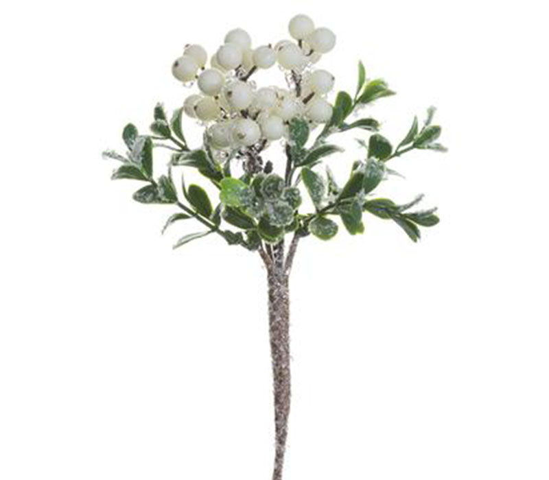Pick - Iced Berry Boxwood - 8-inch