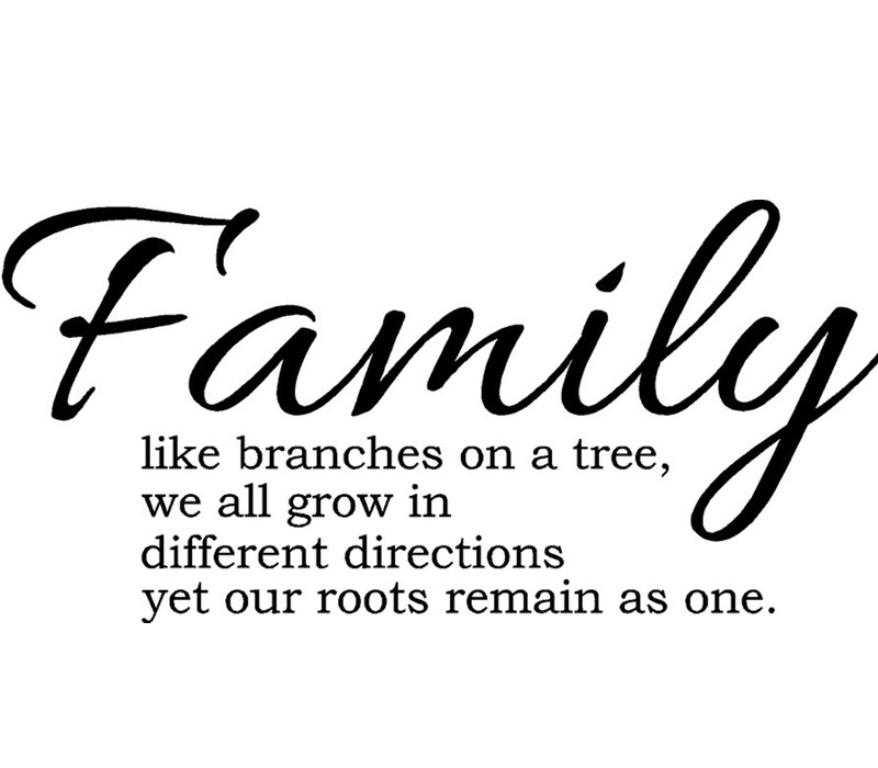 Vinyl Rub-On - Family Like Branches On A Tree