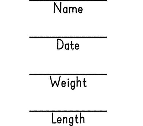 Vinyl Rub-On - Name Date Weight Length