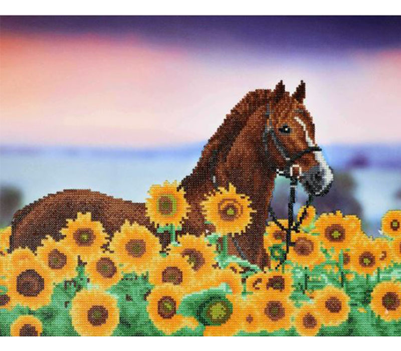 Diamond Art - Sunflower Horse