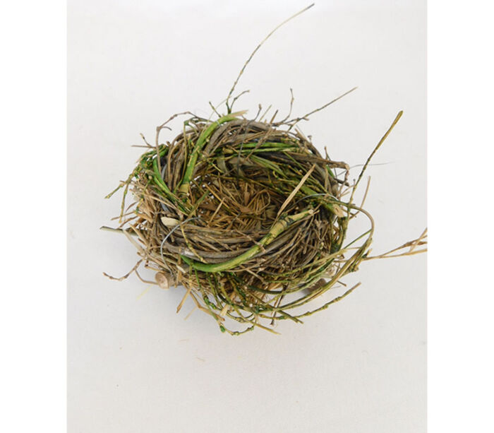 Nest with Branches - 4-inch