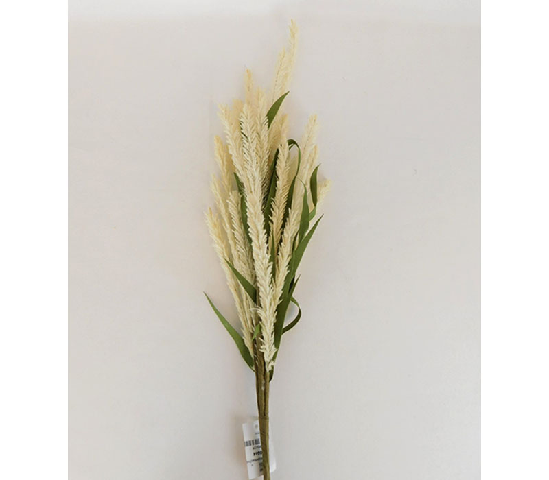 Amaranthus Bush Cream - 22-inch