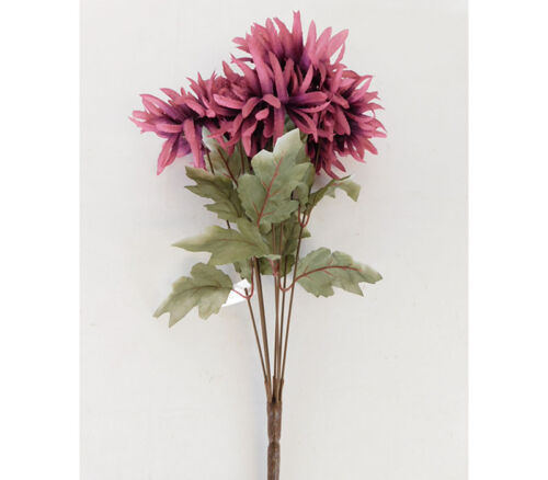 Fall Spider Mum 7 Stem - 19-inch