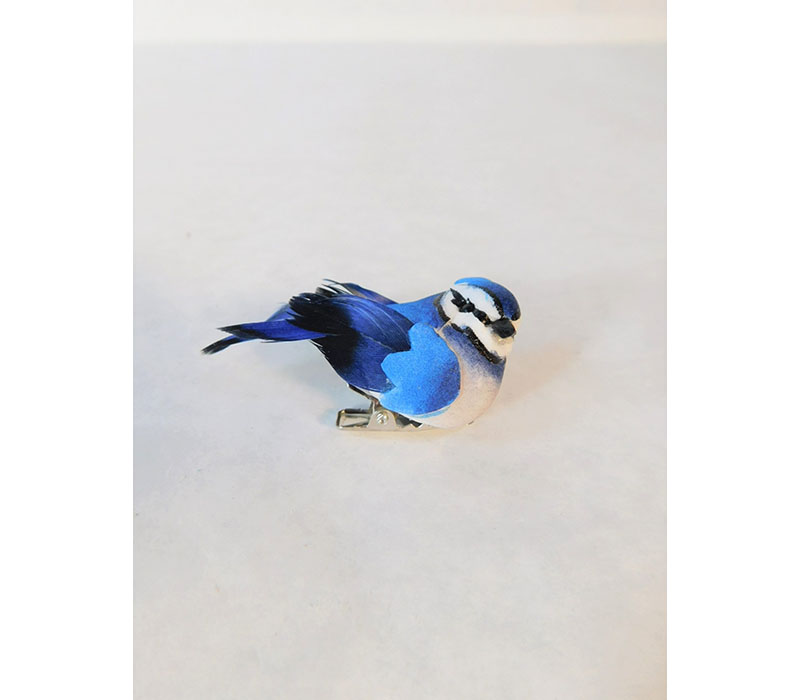 Birds - Bluejays - 6 Piece