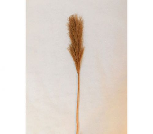 Stem - Pompass Grass - Dark Brown - 27-inch