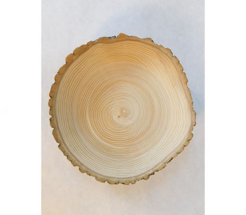 Wooden Bowl - 7-inch