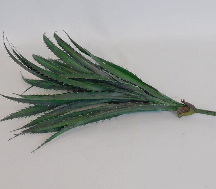 SPC Bush - Razor Grass - Green - 20-inch