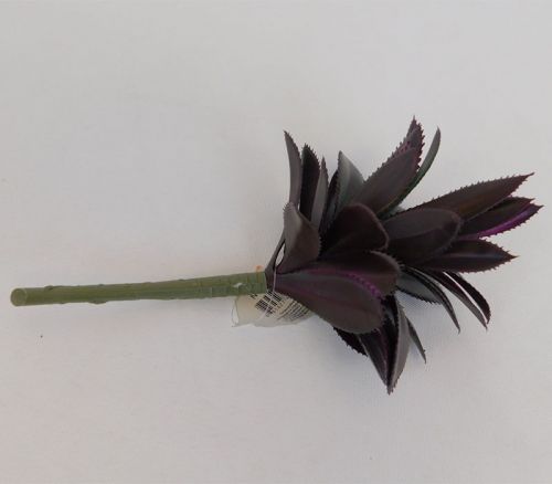 SPC Purple Leafy Succulent Pick - 5-inch and 7-inch - Style Shipped is Randomly Picked From Succulents