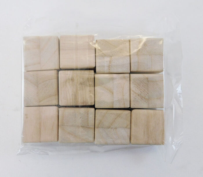 SPC Unfinished Wood Square Blocks -12 Piece