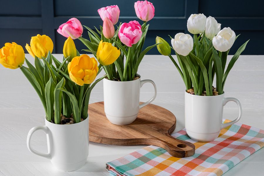 Easter or Mothers day Tulips in a tea cup