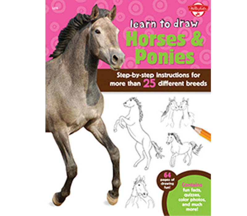 Learn To Draw Horses & Ponies