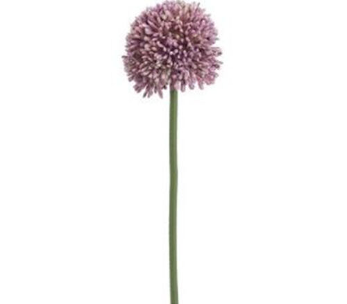 Allium Spray - 18-inch