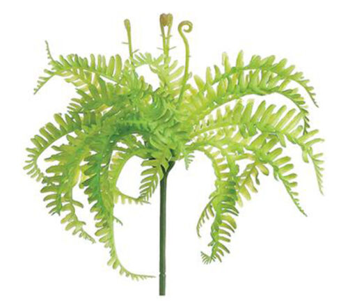 Mini Fern Bush - 8-inch