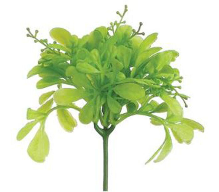 Odorata Leaf Pick - 8-inch