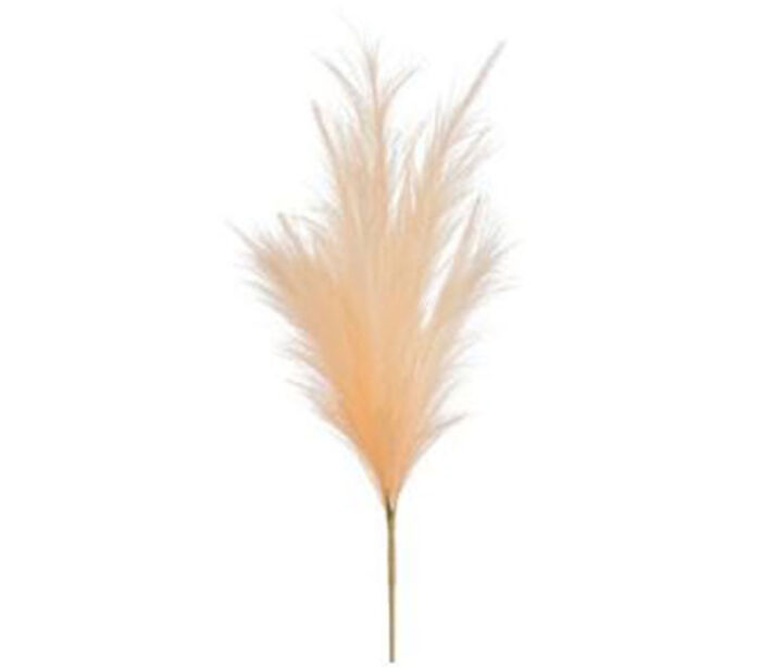 Pampas Plume Spray - Peach - 28-inch