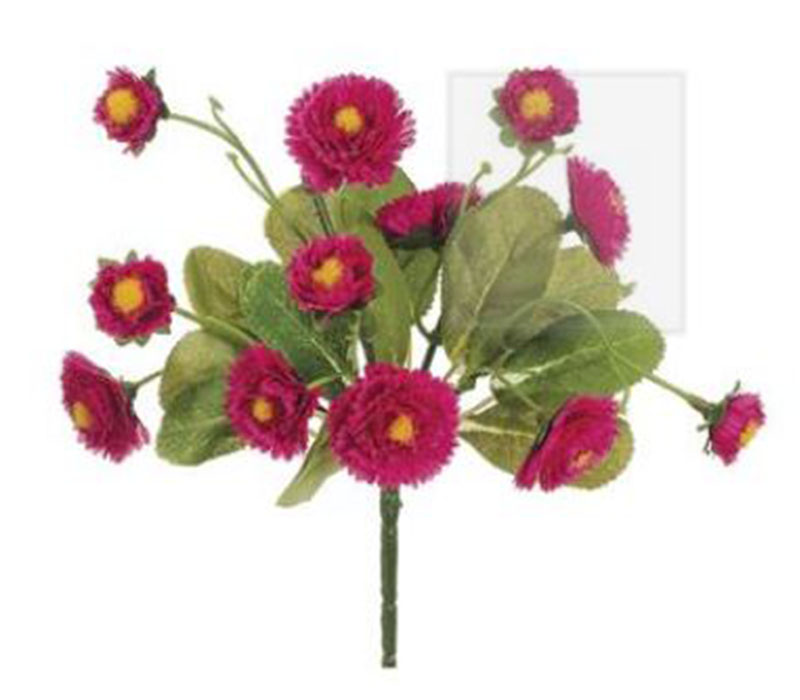 Calendula Bush - 8.5-inch - Pink