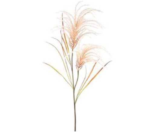 Pampas Plume Grass Spray - 54-inch