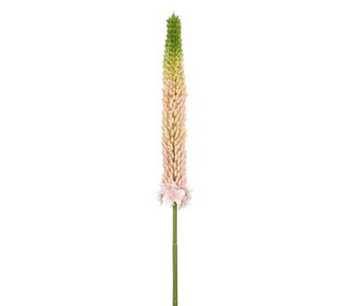 Foxtail Lily Spray - 33-inch