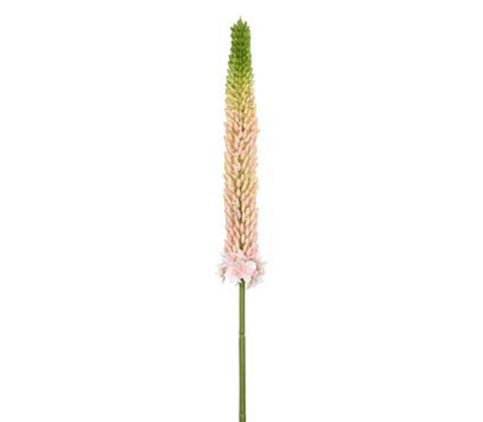 Foxtail Lily Spray - 33-inch