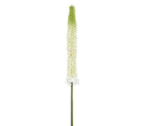 Foxtail Lily Spray - 33-inch
