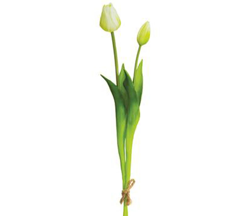 Tulip Bundle - 2 Stems - 18.5-inch