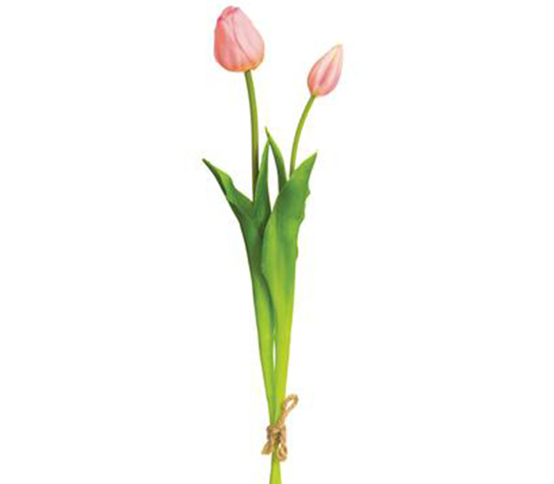 Tulip Bundle - 2 Stems - 18.5-inch