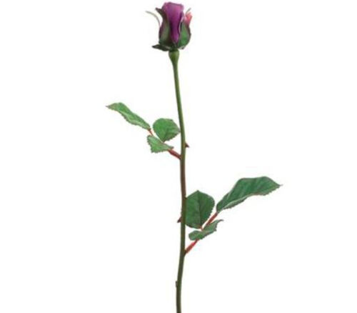 Rose Bud - 23-inch