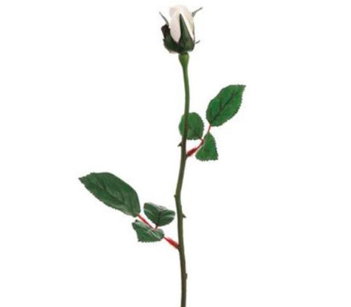 Rose Bud - 23-inch