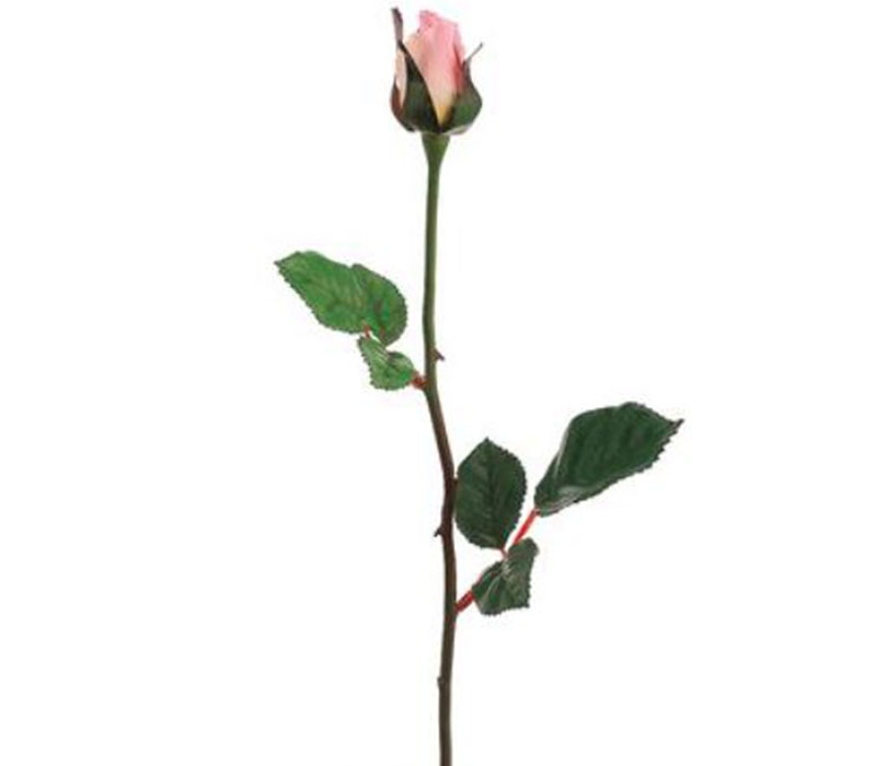 Rose Bud - 23-inch