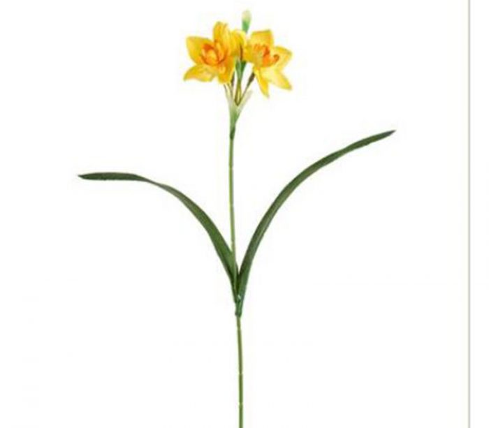 Daffodil Spray - 18-inch