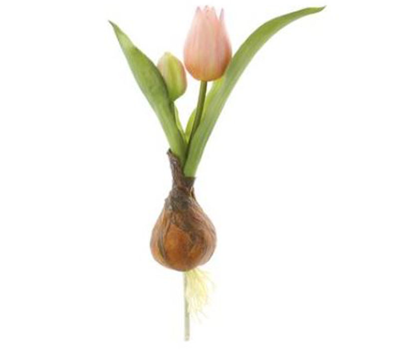 Tulip Spray with Bulb - 8-inch - Pink