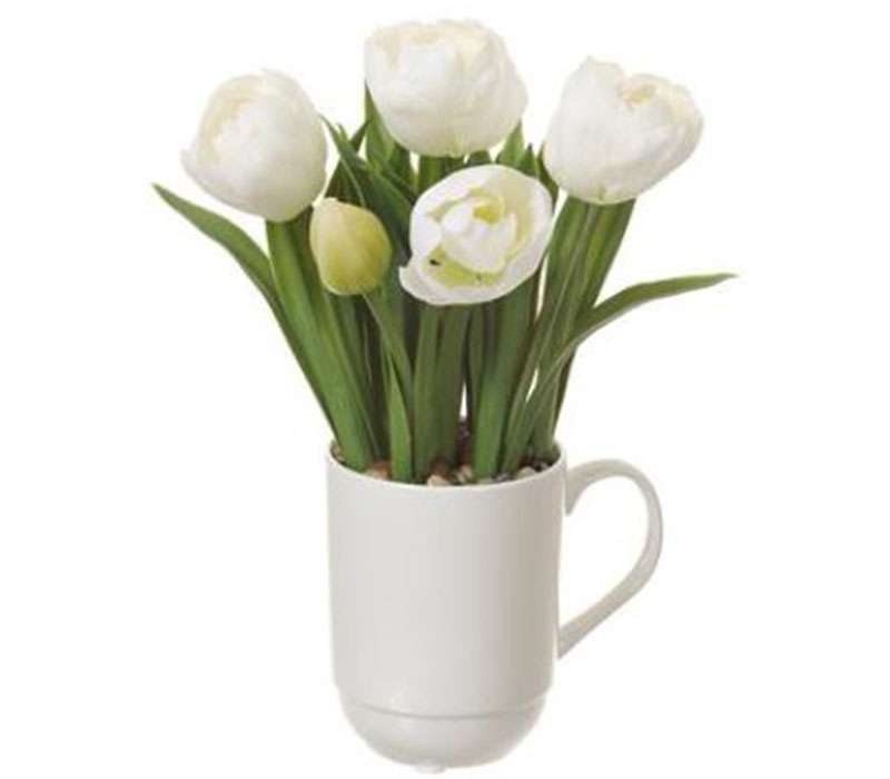 Tulip in Ceramic Cup - 11-inch - White