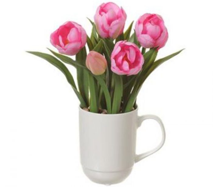 Tulip in Ceramic Cup - 11-inch - Pink