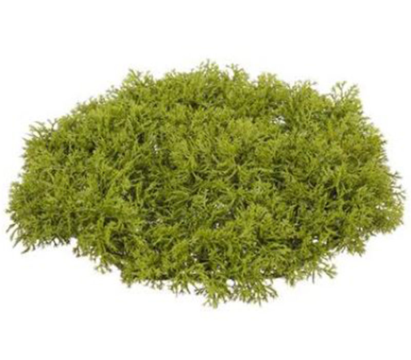 Moss Mat - 9-inch - Green
