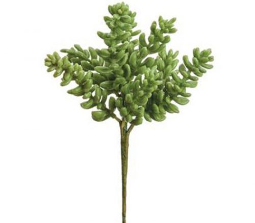 Sedum Pick - 8-inch