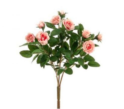 Mini Rose Bush - 3-Stems - 10-inch - Pink