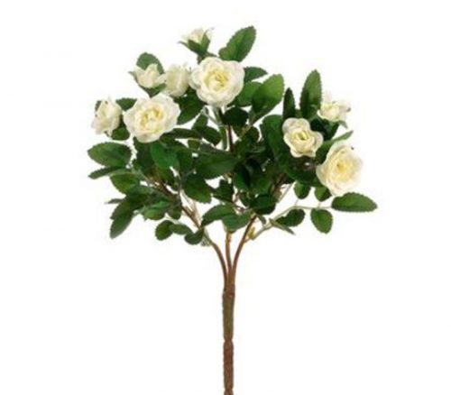 Mini Rose Bush - 3-Stems - 10-inch - Cream