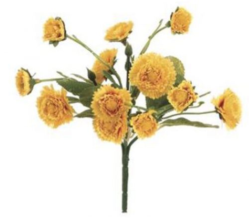 Calendula Bush - 8.5-inch - Yellow
