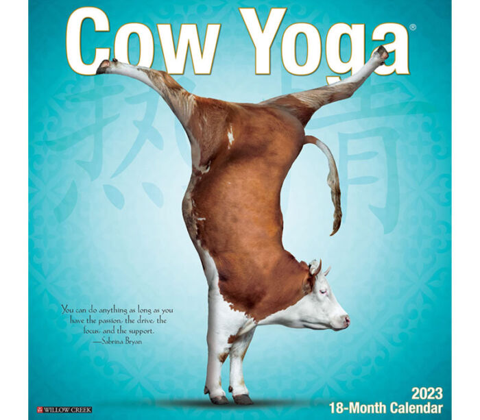 2024 Wall Calendar - Cow Yoga