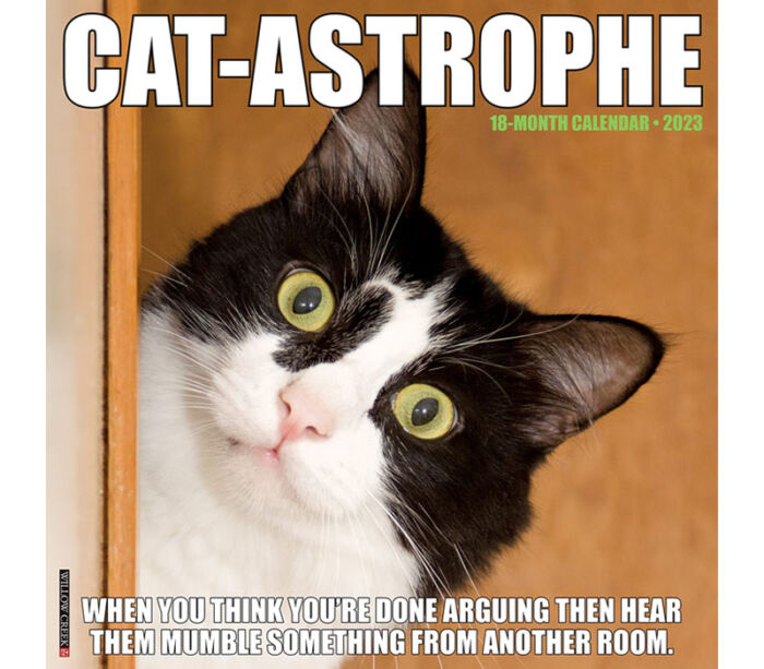 2024 Wall Calendar - Cat-Astrophe