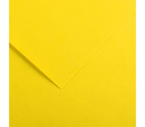 Canson Colorline Heavyweight Paper - 300gsm - 19-inch x 25-inch -  Canary Yellow